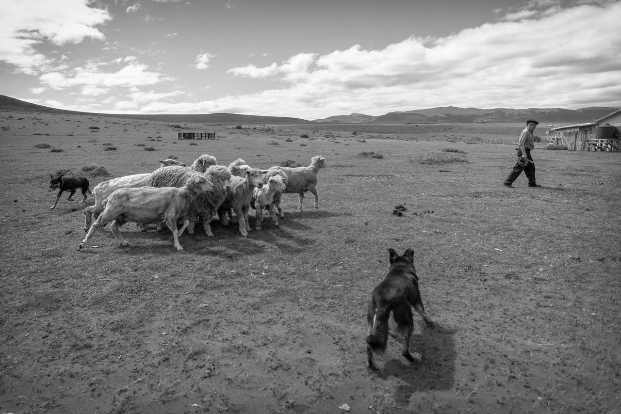 Estancia Dos Elianas Torres del Paine National Park Dış mekan fotoğraf