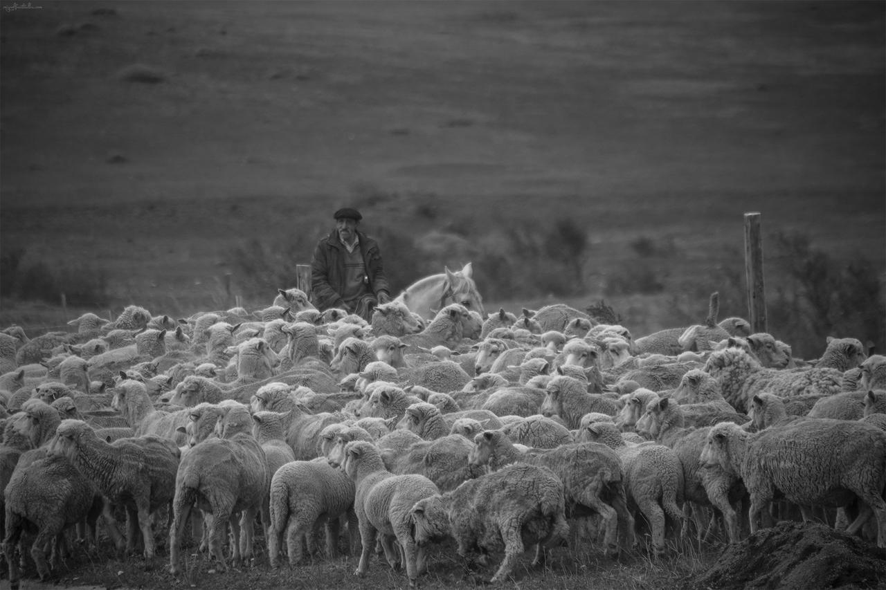 Estancia Dos Elianas Torres del Paine National Park Dış mekan fotoğraf